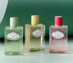 Prada Les Infusion Flakons